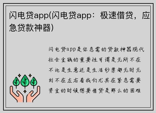 闪电贷app(闪电贷app：极速借贷，应急贷款神器)